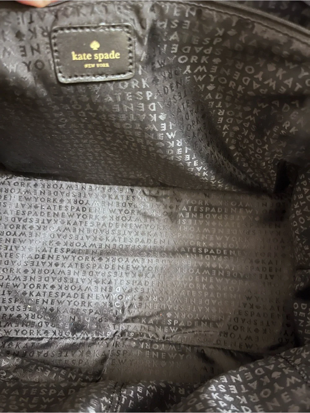 kate spade striking kate